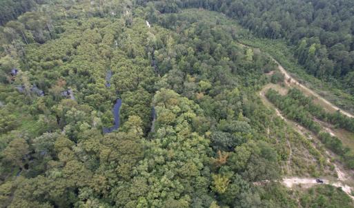 Photo #4 of 97.83 Acres-TBD Sugar Hill Fox Rd., Pamplico, SC 97.8 acres