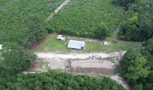 Photo #7 of 97.83 Acres-TBD Sugar Hill Fox Rd., Pamplico, SC 97.8 acres