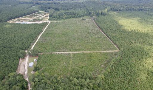 Photo #1 of 97.83 Acres-TBD Sugar Hill Fox Rd., Pamplico, SC 97.8 acres