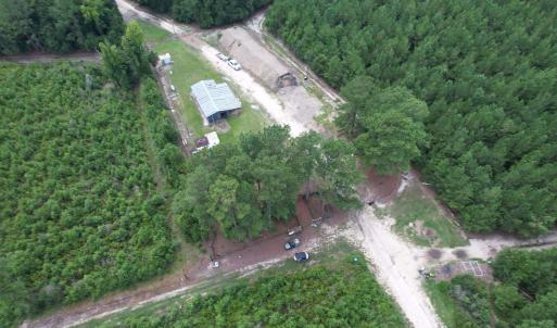 Photo #8 of 97.83 Acres-TBD Sugar Hill Fox Rd., Pamplico, SC 97.8 acres