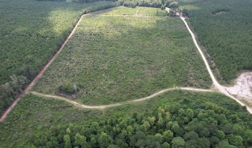 Photo #2 of 97.83 Acres-TBD Sugar Hill Fox Rd., Pamplico, SC 97.8 acres