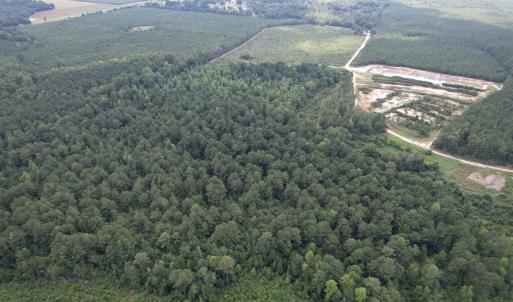 Photo #4 of 97.83 Acres-TBD Sugar Hill Fox Rd., Pamplico, SC 97.8 acres