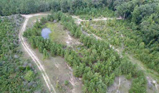 Photo #8 of 97.83 Acres-TBD Sugar Hill Fox Rd., Pamplico, SC 97.8 acres