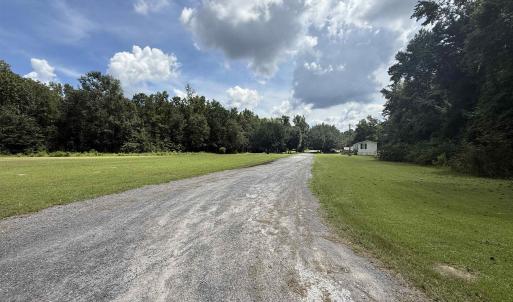 View of dirt / gravel road with a forest view