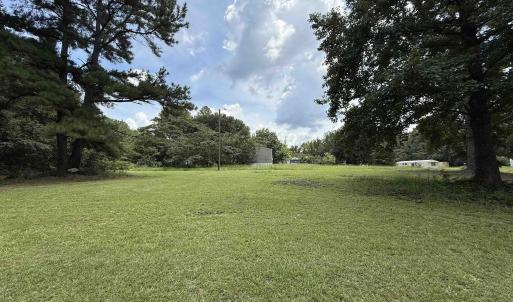 View of green lawn