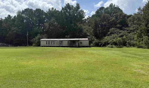 View of grassy yard