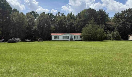 View of grassy yard