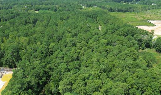 View of property location with a forest