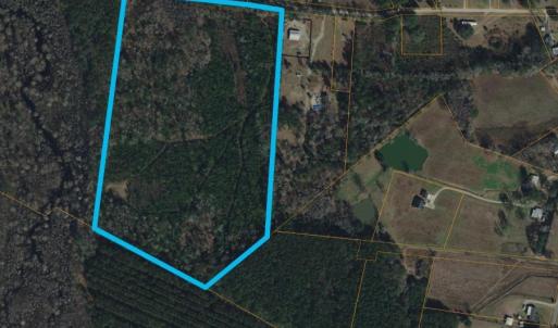 Photo #9 of TBD Lonzy Ln., Conway, SC 27.7 acres