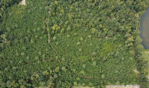 Photo #6 of TBD Lonzy Ln., Conway, SC 27.7 acres