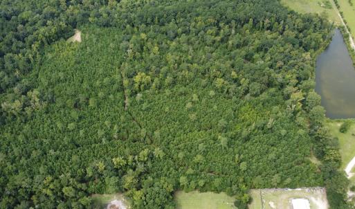 Photo #1 of TBD Lonzy Ln., Conway, SC 27.7 acres