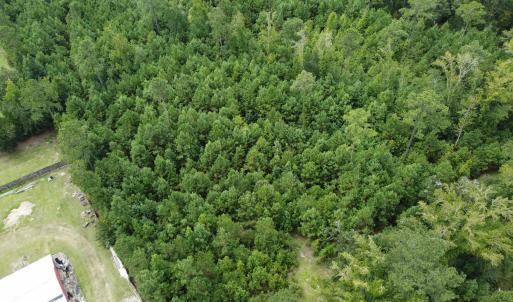 Photo #2 of TBD Lonzy Ln., Conway, SC 27.7 acres