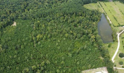 Photo #7 of TBD Lonzy Ln., Conway, SC 27.7 acres