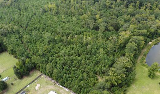 Photo #3 of TBD Lonzy Ln., Conway, SC 27.7 acres