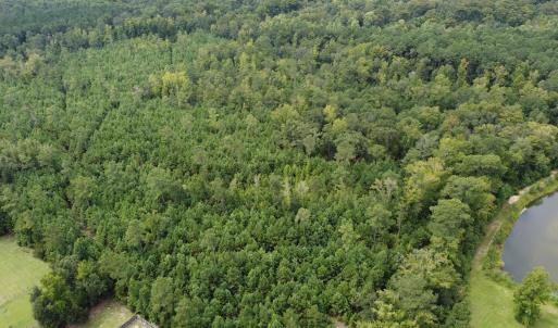 Photo #4 of TBD Lonzy Ln., Conway, SC 27.7 acres