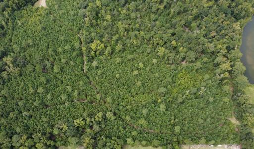 Photo #8 of TBD Lonzy Ln., Conway, SC 27.7 acres