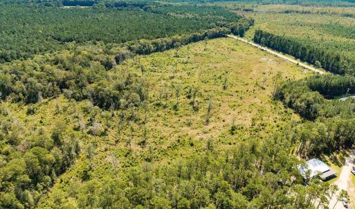 Aerial view of a heavily wooded area