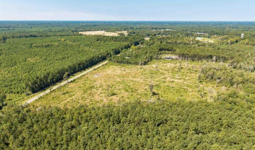 Drone / aerial view of a forest