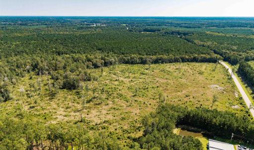 Bird's eye view of a forest