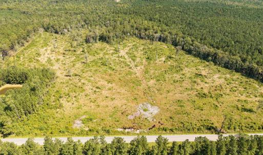 Drone / aerial view of a forest