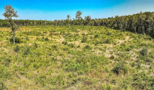 View of undeveloped land