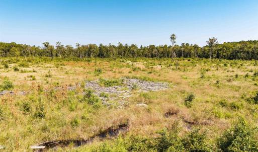 View of local wilderness with rural landscape
