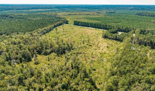 Bird's eye view of a heavily wooded area