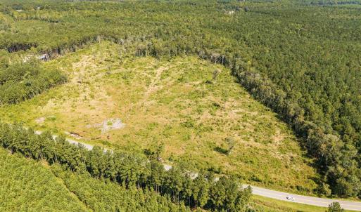 Drone / aerial view of a forest