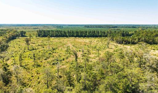 Drone / aerial view of a heavily wooded area