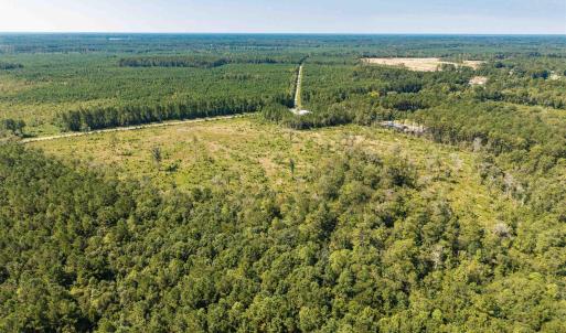 Drone / aerial view of a heavily wooded area