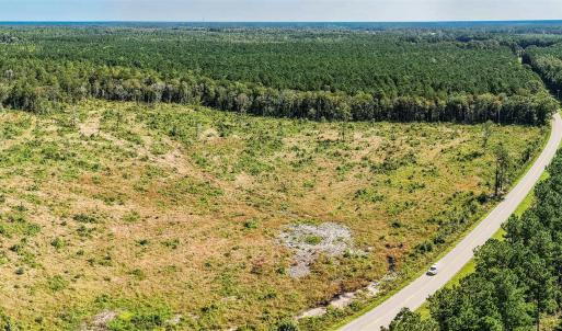 Drone / aerial view of a forest