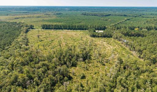 Aerial view of a heavily wooded area