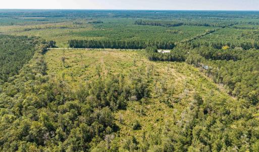 Aerial view of a heavily wooded area