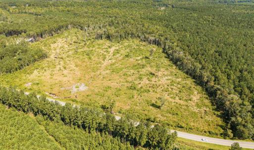 Drone / aerial view of a forest