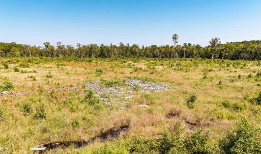 View of local wilderness with rural landscape