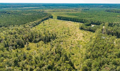 Bird's eye view of a heavily wooded area