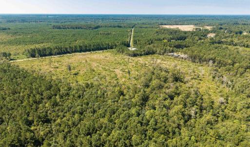Drone / aerial view of a heavily wooded area