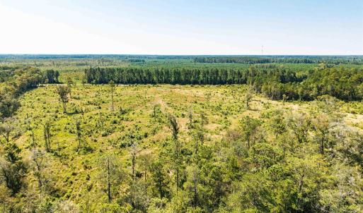 Drone / aerial view of a heavily wooded area