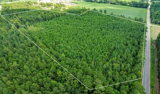 Photo #12 of TBD Joy Rd., Hemingway, SC 24.1 acres