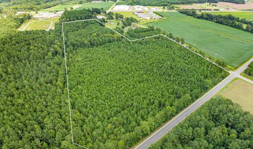 Photo #8 of TBD Joy Rd., Hemingway, SC 24.1 acres