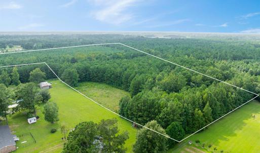 Photo #7 of TBD Joy Rd., Hemingway, SC 24.1 acres