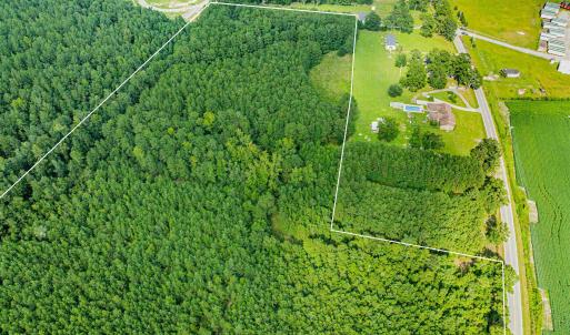 Photo #6 of TBD Joy Rd., Hemingway, SC 24.1 acres