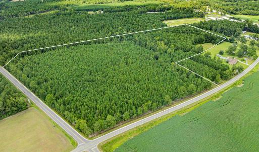 Photo #1 of TBD Joy Rd., Hemingway, SC 24.1 acres