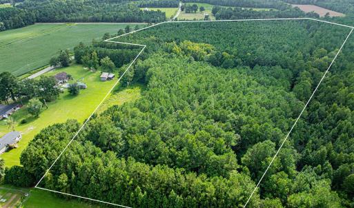 Photo #5 of TBD Joy Rd., Hemingway, SC 24.1 acres