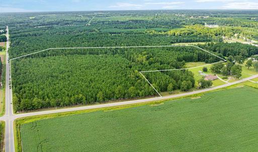 Photo #4 of TBD Joy Rd., Hemingway, SC 24.1 acres