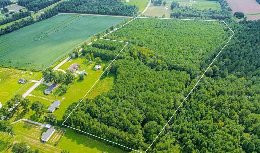 Photo #9 of TBD Joy Rd., Hemingway, SC 24.1 acres
