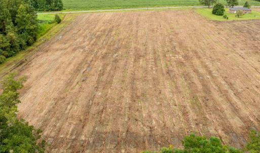 Photo #5 of TBD Lot 7 Mount Olive Church Rd., Nichols, SC 1.4 acres