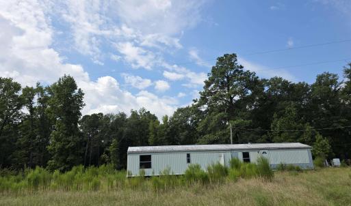 View of yard with a forest view
