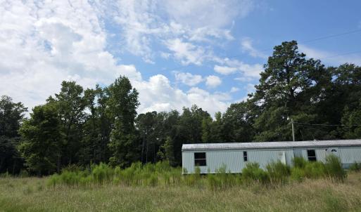 View of yard featuring a forest view