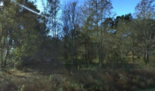 Photo #10 of 2940 Red Bluff Rd., Loris, SC 4.9 acres